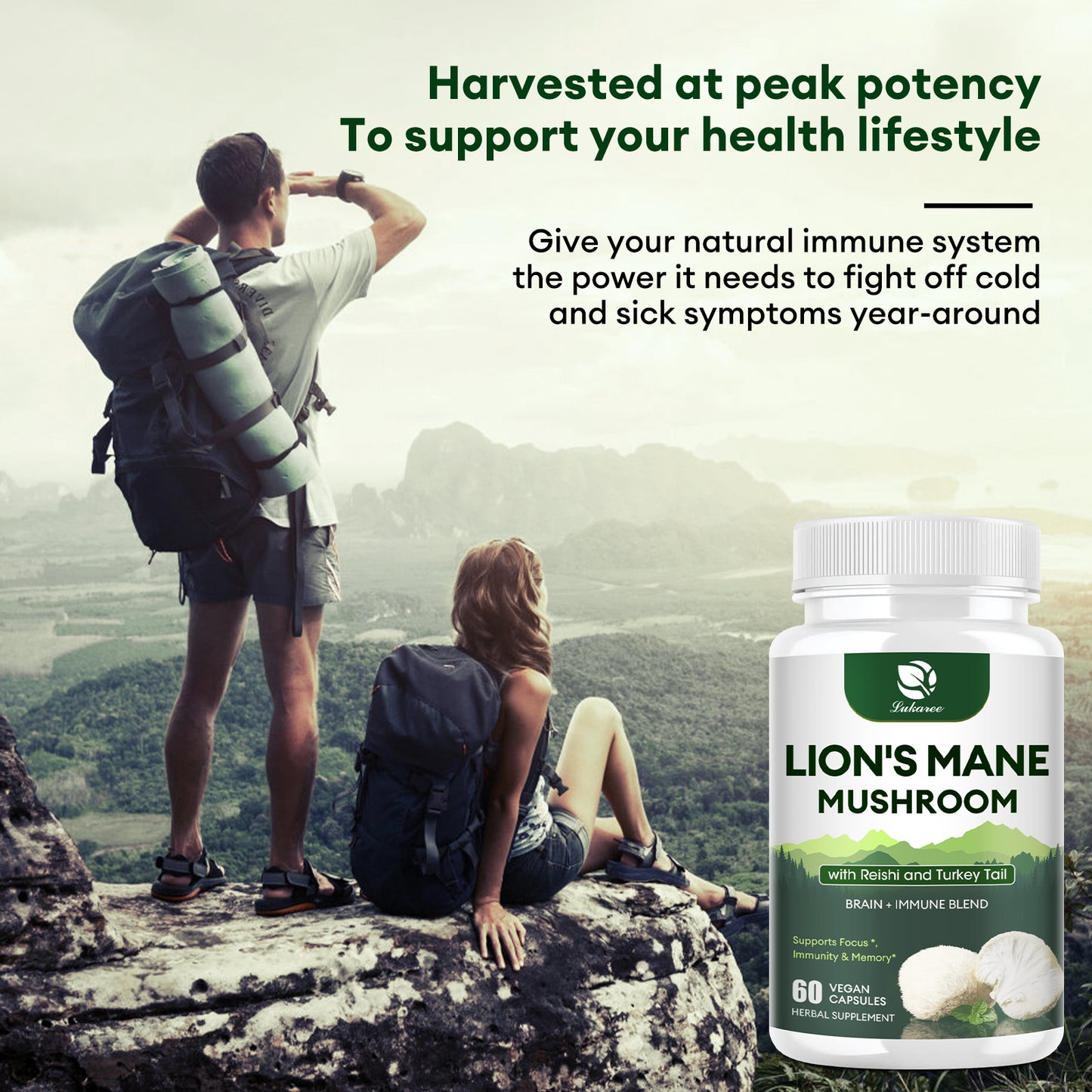 Lukaree Mushroom Supplement with Lion' s Mane, Reishi, Turkey Tail, Nootropic Brain Booster For Focus, Memory, Clarity, Energy, Liver Support, Mushroom Powder Extract Vegan Capsules, 60 Counts