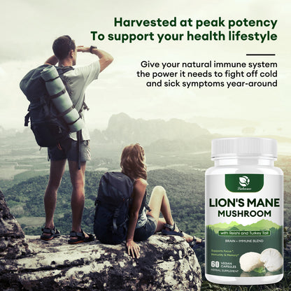Lukaree Mushroom Supplement with Lion' s Mane, Reishi, Turkey Tail, Nootropic Brain Booster For Focus, Memory, Clarity, Energy, Liver Support, Mushroom Powder Extract Vegan Capsules, 60 Counts